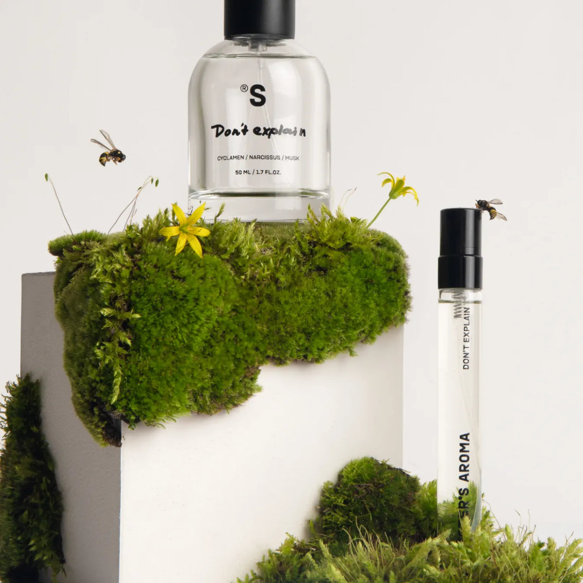 Perfume DON’T EXPLAIN (ex S16) 10 ml