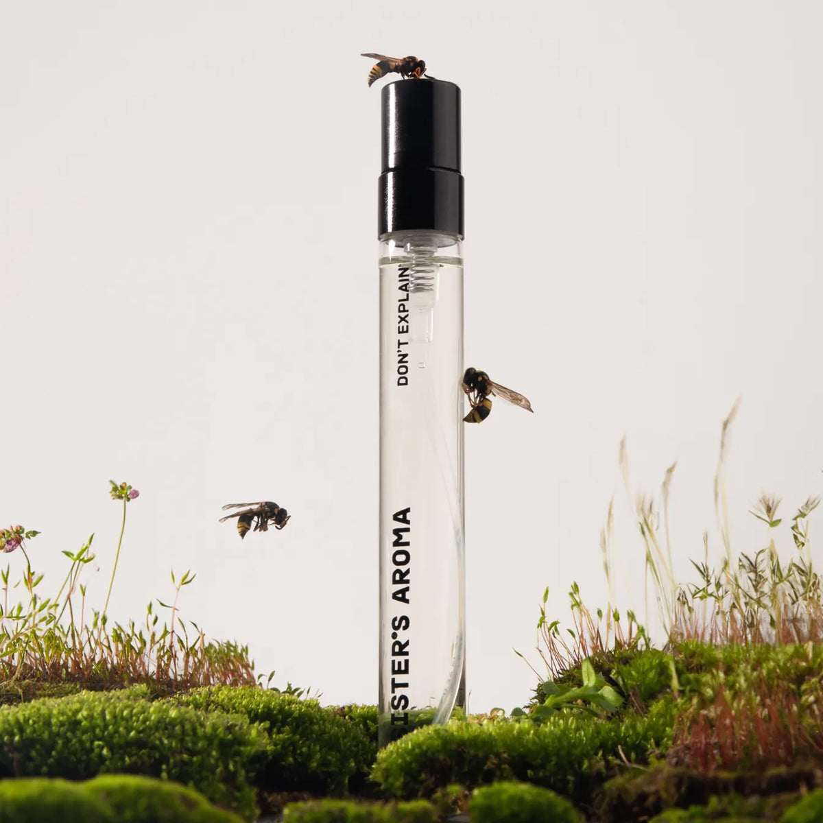 Perfume DON’T EXPLAIN (ex S16) 10 ml