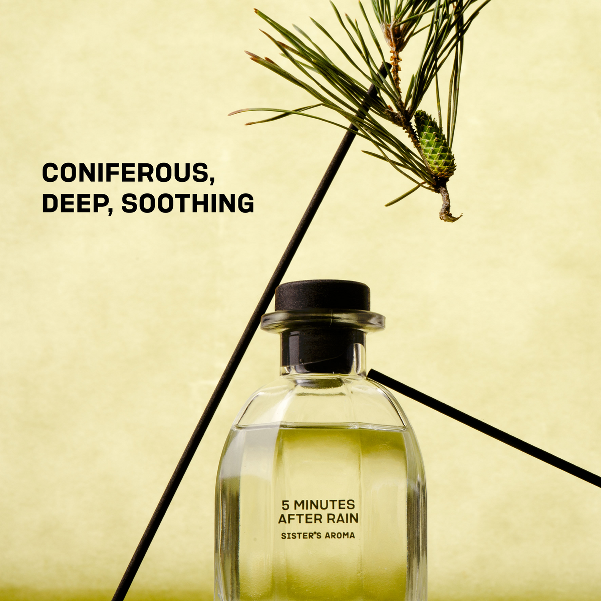 Home Fragrance 5 MINUTES AFTER RAIN