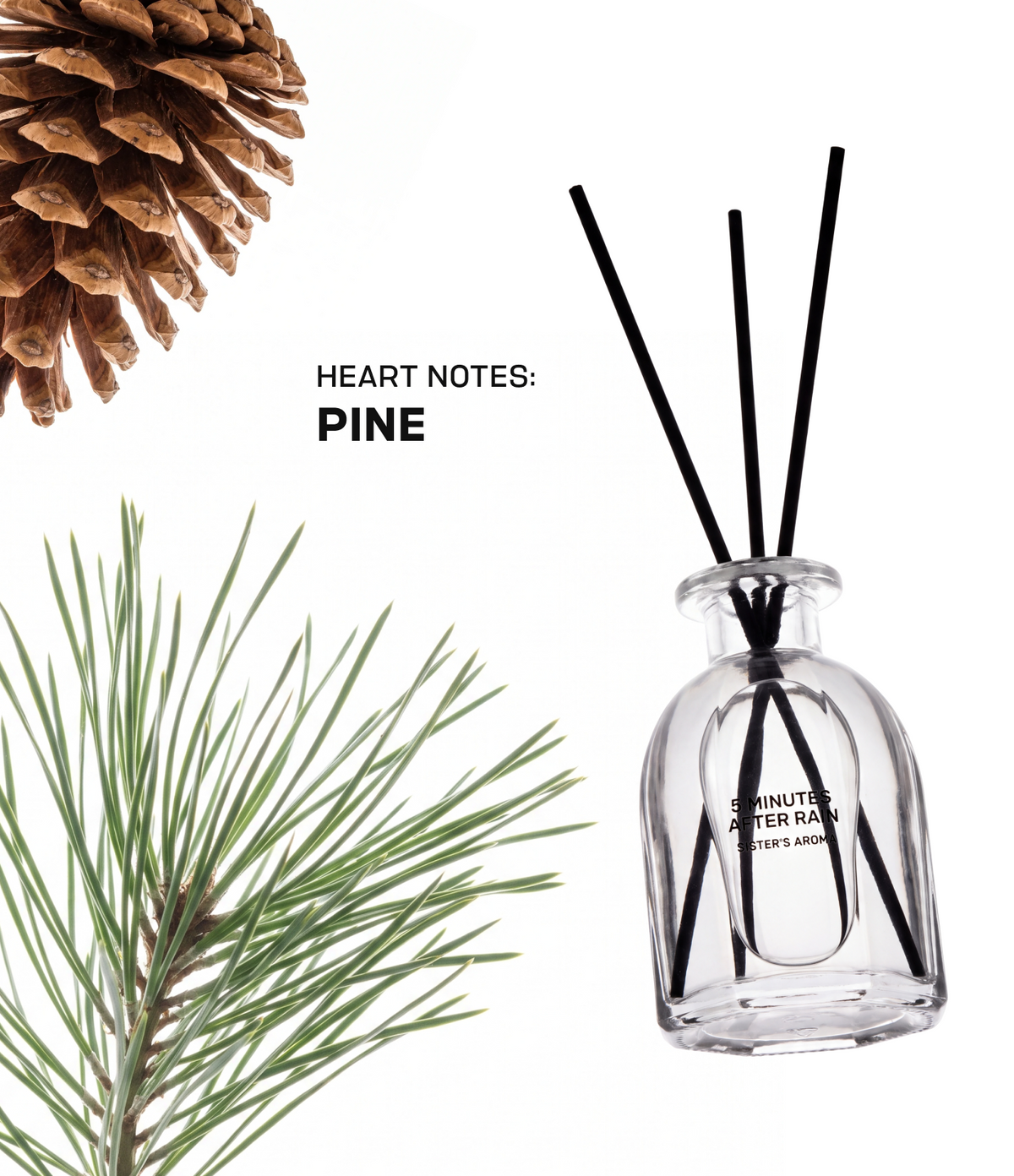 Home Fragrance 5 MINUTES AFTER RAIN