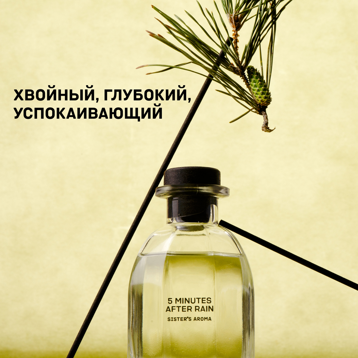 Аромат для дома 5 MINUTES AFTER RAIN