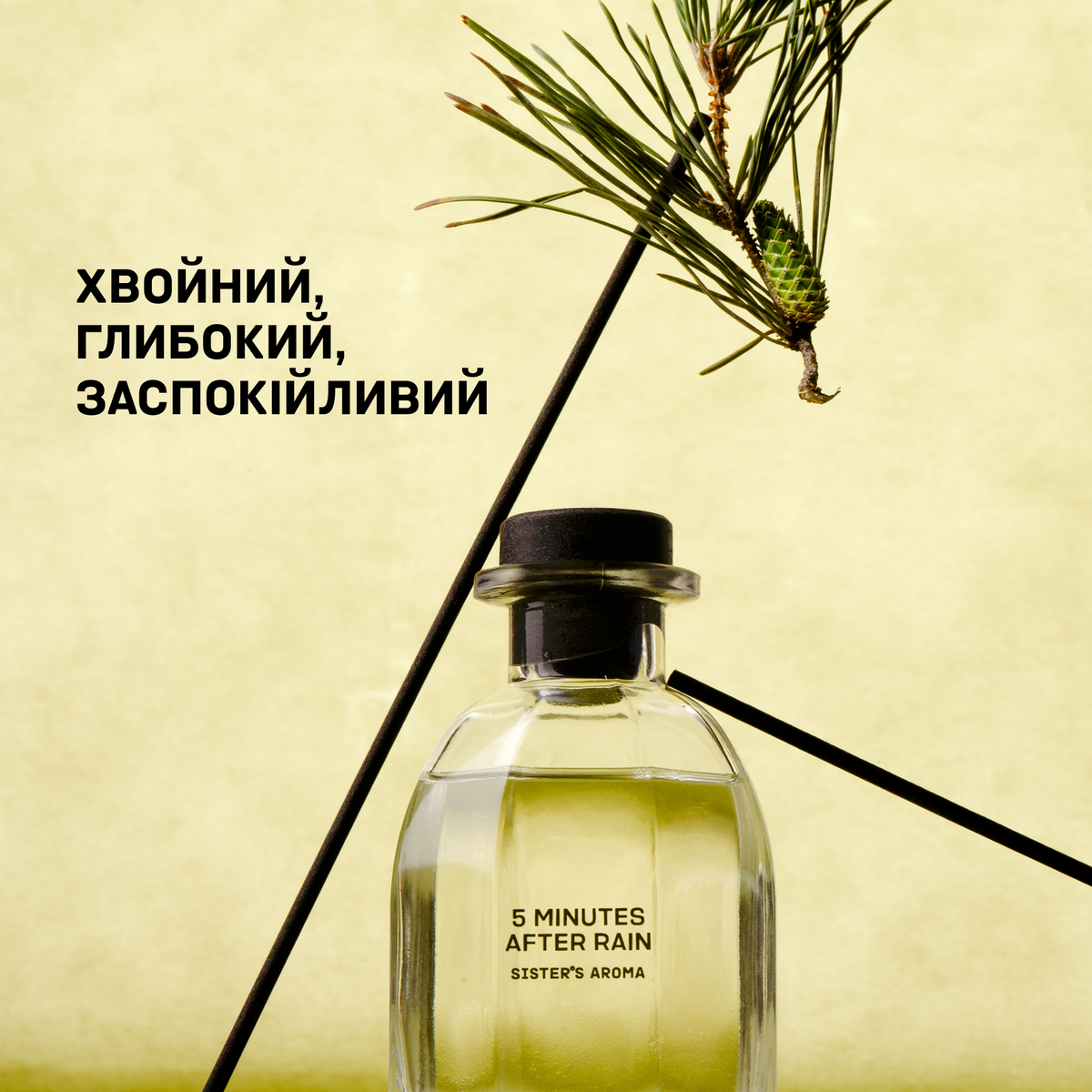 Аромат для простору 5 MINUTES AFTER RAIN