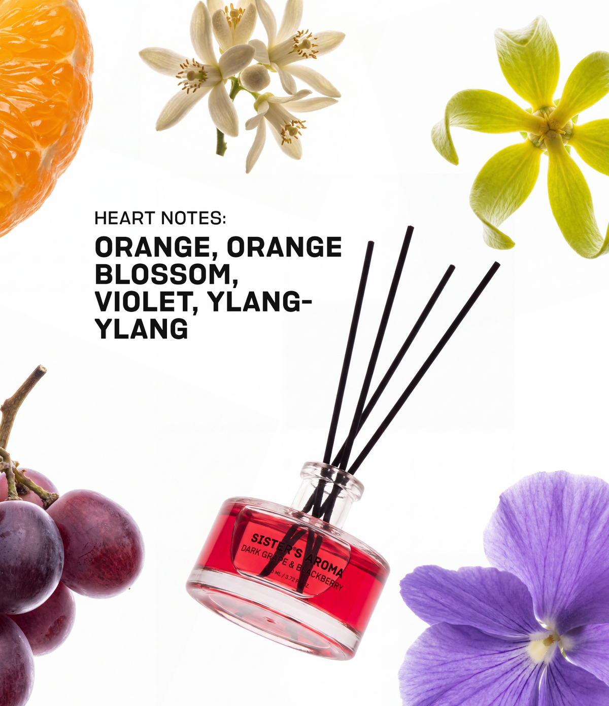 Home fragrance DARK GRAPE + BLACKBERRY