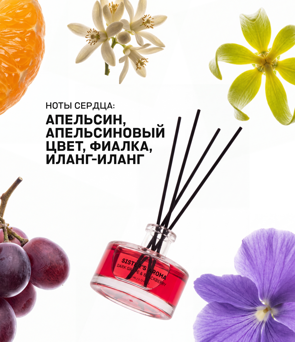 Аромат для дома DARK GRAPE + BLACKBERRY