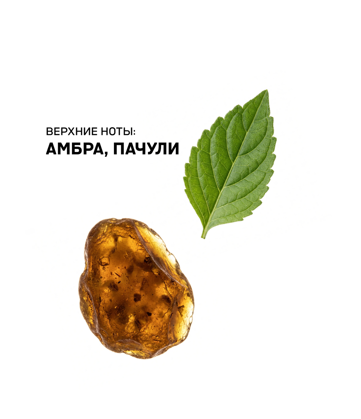 Аромат для дома ORGASM