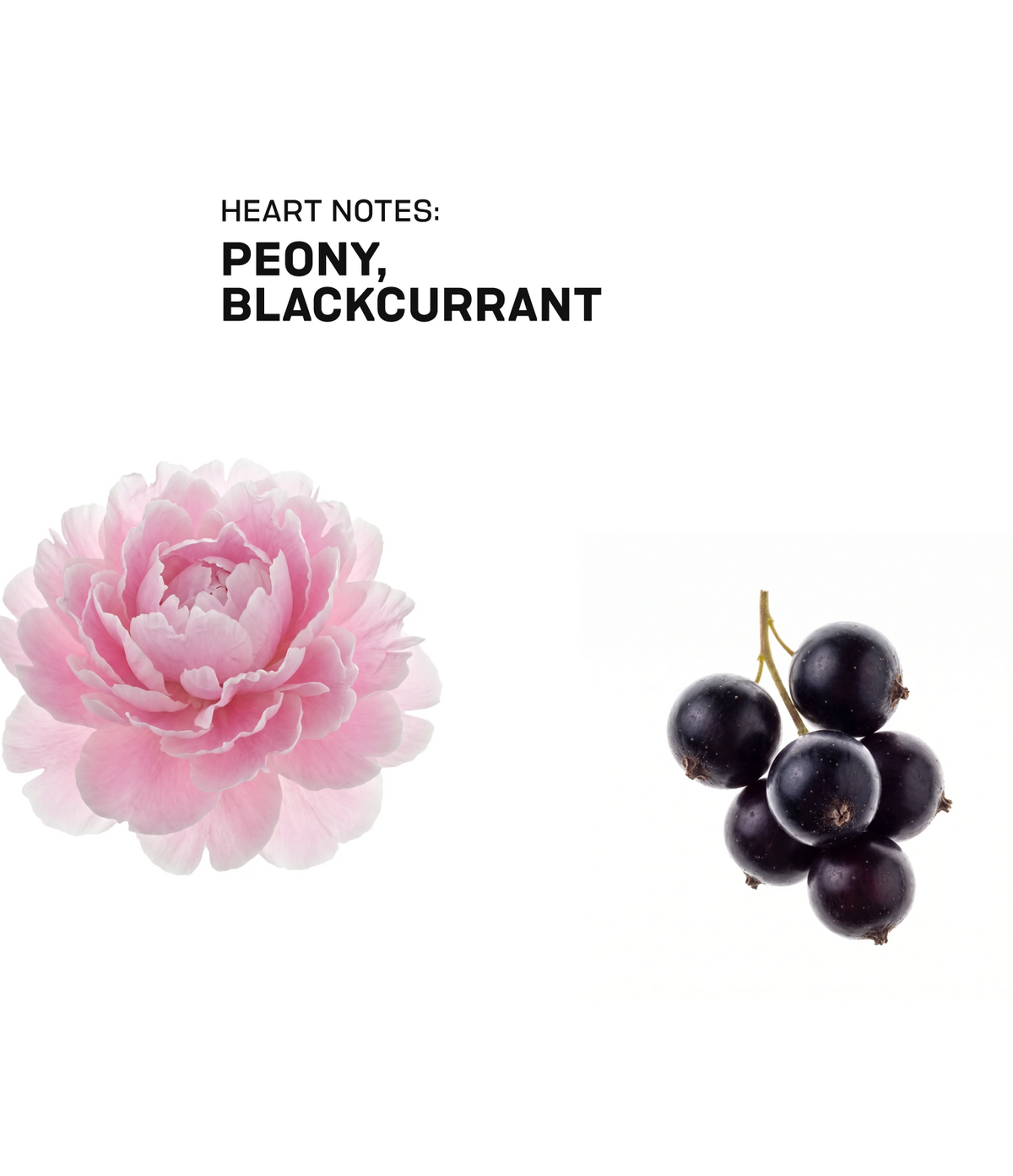 Home Fragrance POMEGRANATE & ACAI