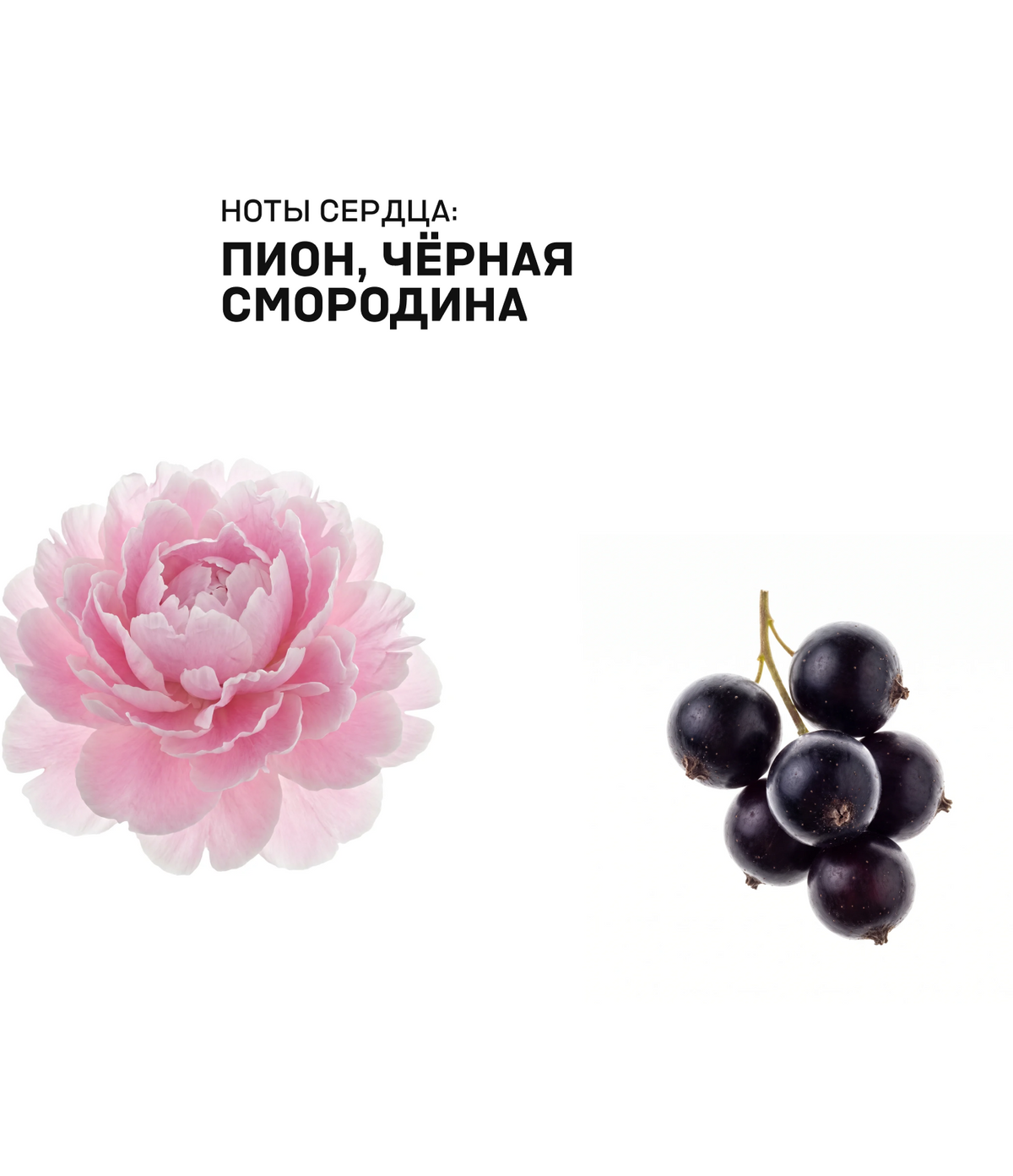 Аромат для дома POMEGRANATE & ACAI