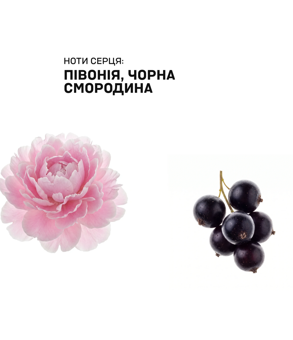 Аромат для простору POMEGRANATE & ACAI