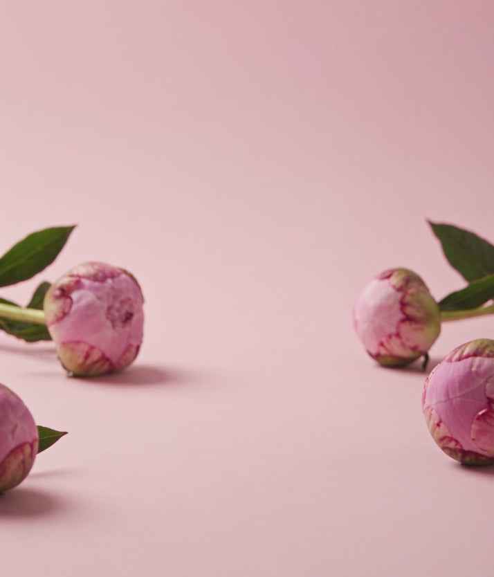 Fragrance for Home | PEONY + HOME GARDEN 140 ml