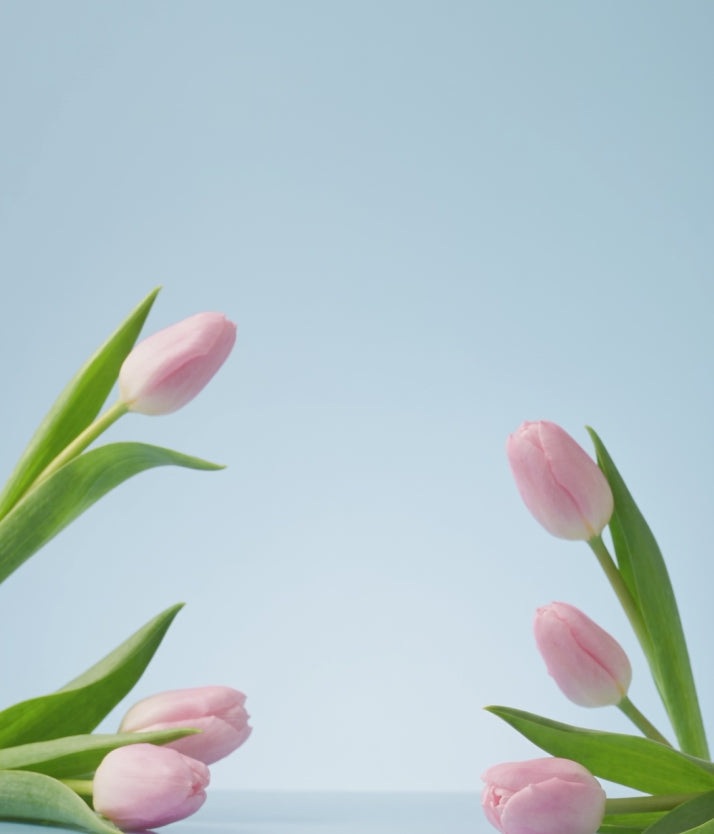 Perfume TULIP ME