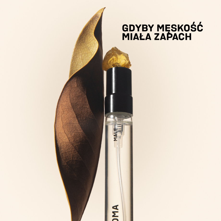 Perfumy MALE 10 ml