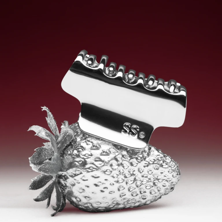 Metal Hair Clip | Silver